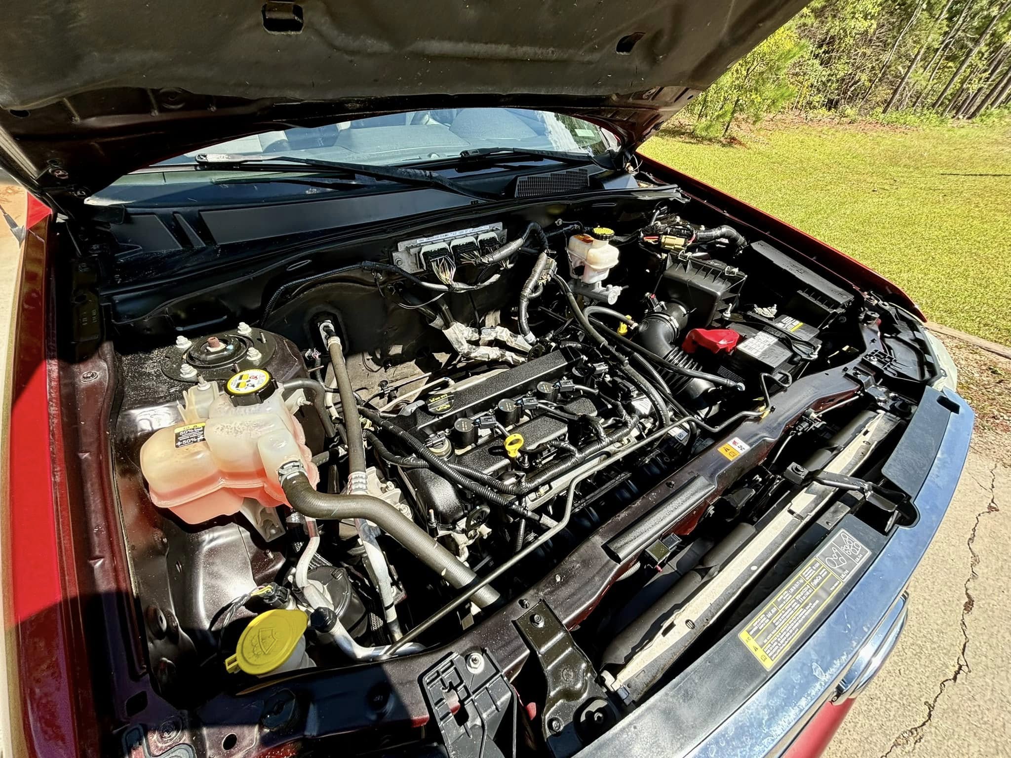 2011 Ford Escape XLT